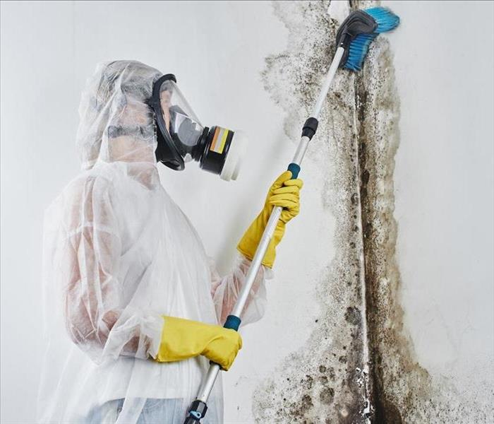 Image of a professional with proper equipment and protection cleaning up mold