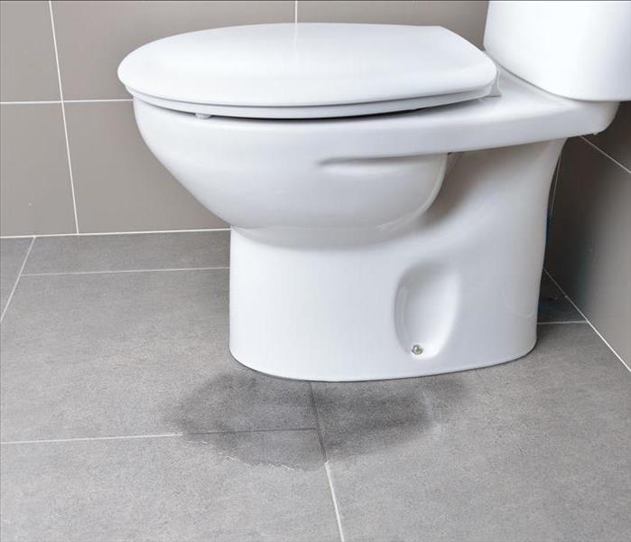 A leaking Toilet.